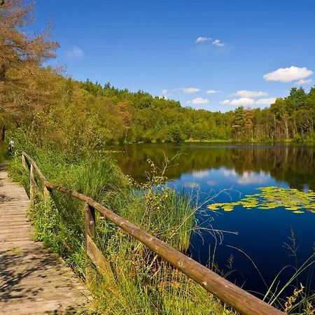 Vogelnest Mit Aussicht Auf Den Stadthafen * Waren (Müritz)